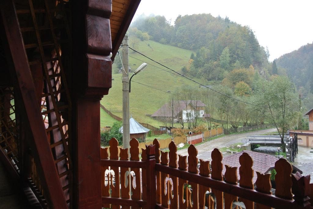 Pensiune Restaurant Piatra Craiului Dîmbovicioara Εξωτερικό φωτογραφία